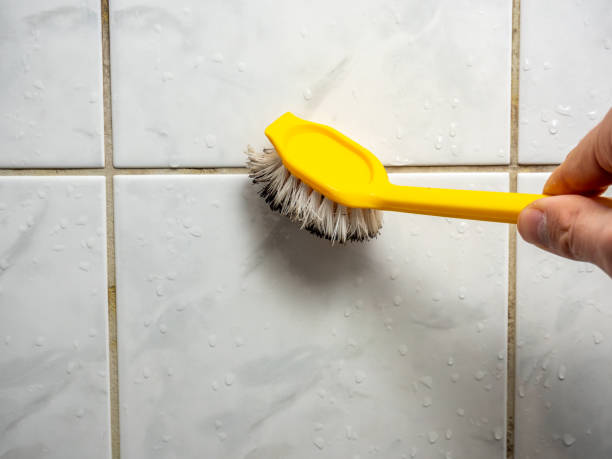 Best Same-Day Mold Removal  in Punxsutawney, PA