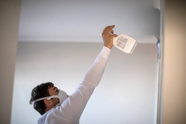 Attic Mold Removal in Punxsutawney, PA