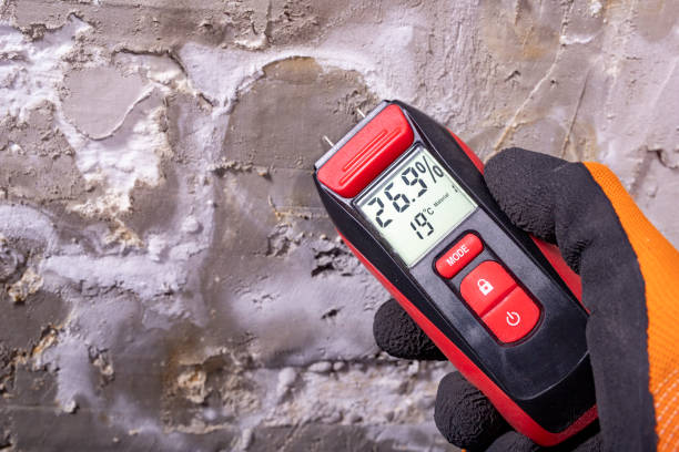 Best Mold Damage Repair  in Punxsutawney, PA